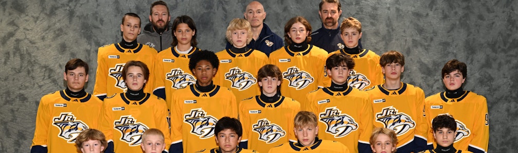 JP  Dumont's Ice Hockey cover photo